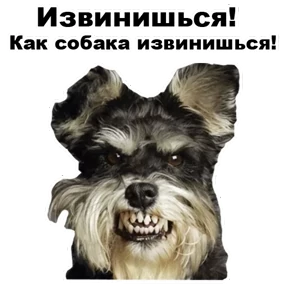 Обложка набора Собаки-мемы 2