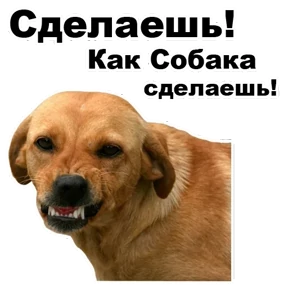 Стикер из набора Собаки-мемы 2