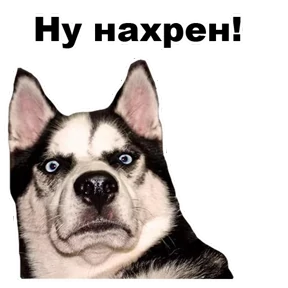 Стикер 9 из набора Собаки-мемы 2
