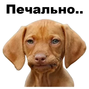 Стикер 13 из набора Собаки-мемы 2