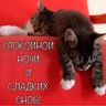Обложка набора Спокойной ночи
