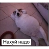 Обложка набора Сс