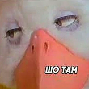 Стикер 10 из набора st_ckers