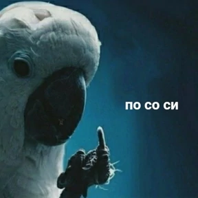 Стикер 13 из набора st_ckers