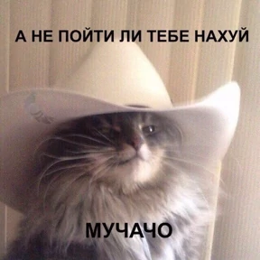 Стикер 20 из набора st_ckers