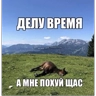 Обложка набора степлер