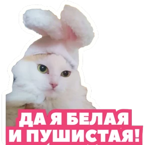 Стикер 5 из набора Стикербум_кошки