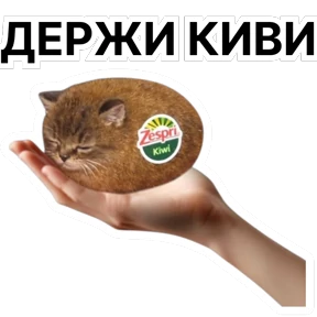 Стикер 8 из набора Стикербум_кошки