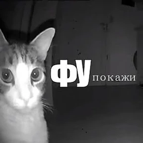 Стикер 11 из набора Стикербум_кошки