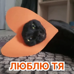 Стикер 12 из набора Стикербум_кошки