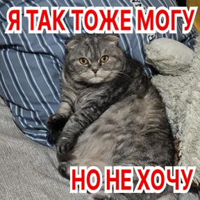 Стикер 17 из набора Стикербум_кошки