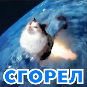 Стикер 30 из набора Стикербум_кошки