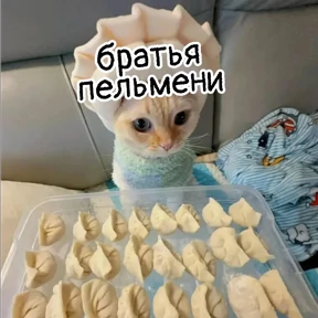 Стикер 31 из набора Стикербум_кошки