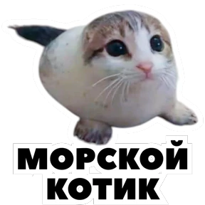 Стикер 33 из набора Стикербум_кошки
