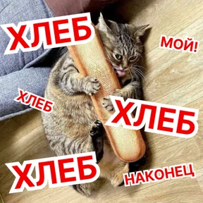 Стикер 44 из набора Стикербум_кошки