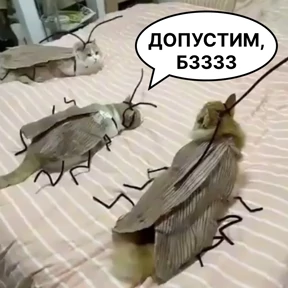 Стикер 45 из набора Стикербум_кошки