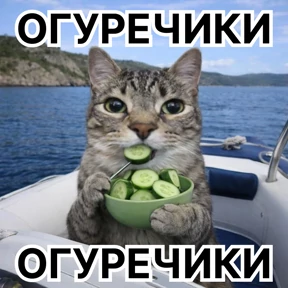 Стикер 55 из набора Стикербум_кошки