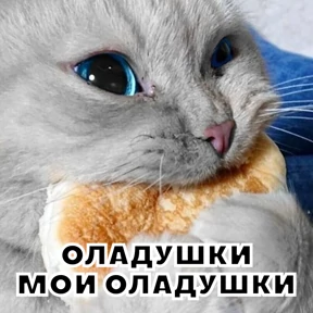 Стикер 57 из набора Стикербум_кошки