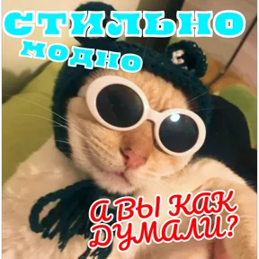 Стикер 59 из набора Стикербум_кошки