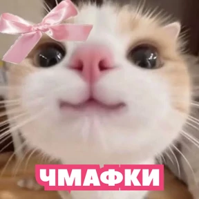 Стикер 60 из набора Стикербум_кошки