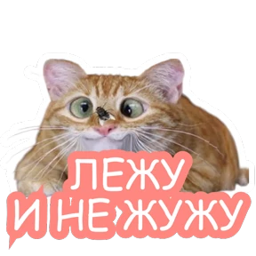Стикер 64 из набора Стикербум_кошки