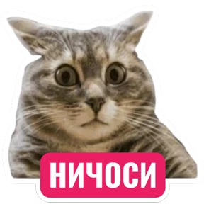 Стикер 65 из набора Стикербум_кошки