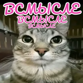 Стикер 72 из набора Стикербум_кошки