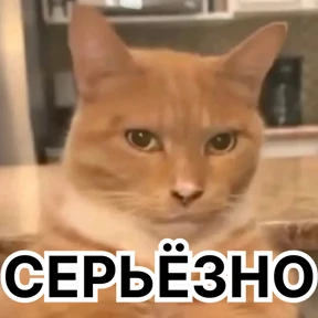 Стикер 73 из набора Стикербум_кошки
