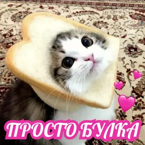 Стикер 75 из набора Стикербум_кошки