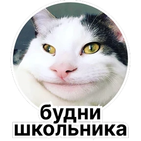 Стикер 80 из набора Стикербум_сериалы