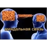 Обложка набора Стикерпук