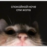 Обложка набора Стикеры 5