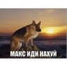 Обложка набора стикосы