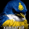 Обложка набора Свага