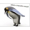 Обложка набора Тг mem stickers