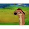 Обложка набора timon