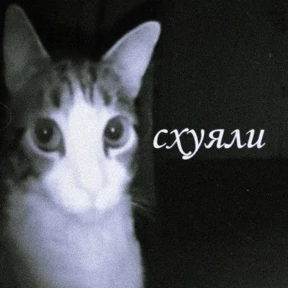 Стикер 2 из набора Треш мемы 12