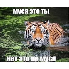 Стикер 31 из набора Треш мемы 12