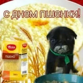 Стикер 11 из набора Треш мемы 3