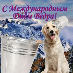 Стикер 12 из набора Треш мемы 3