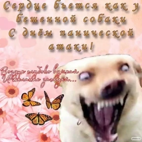 Стикер 48 из набора Треш мемы 3