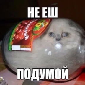 Стикер 5 из набора Треш мемы 3