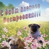 Обложка набора Треш мемы 3