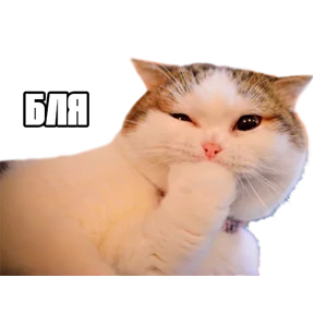 Стикер 31 из набора Треш мемы 4