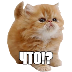 Стикер 53 из набора Треш мемы 4