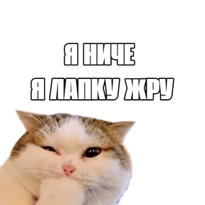 Стикер 59 из набора Треш мемы 4