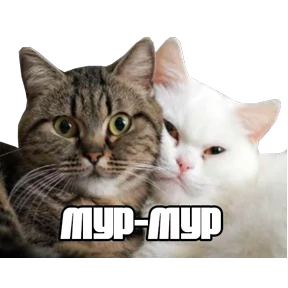 Стикер 62 из набора Треш мемы 4
