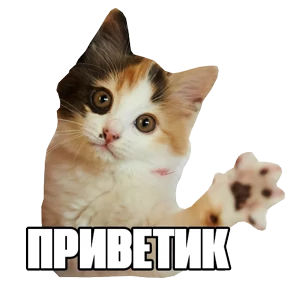 Стикер 64 из набора Треш мемы 4