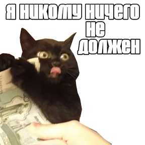 Стикер 93 из набора Треш мемы 4