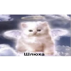 Стикер 15 из набора Треш мемы 6